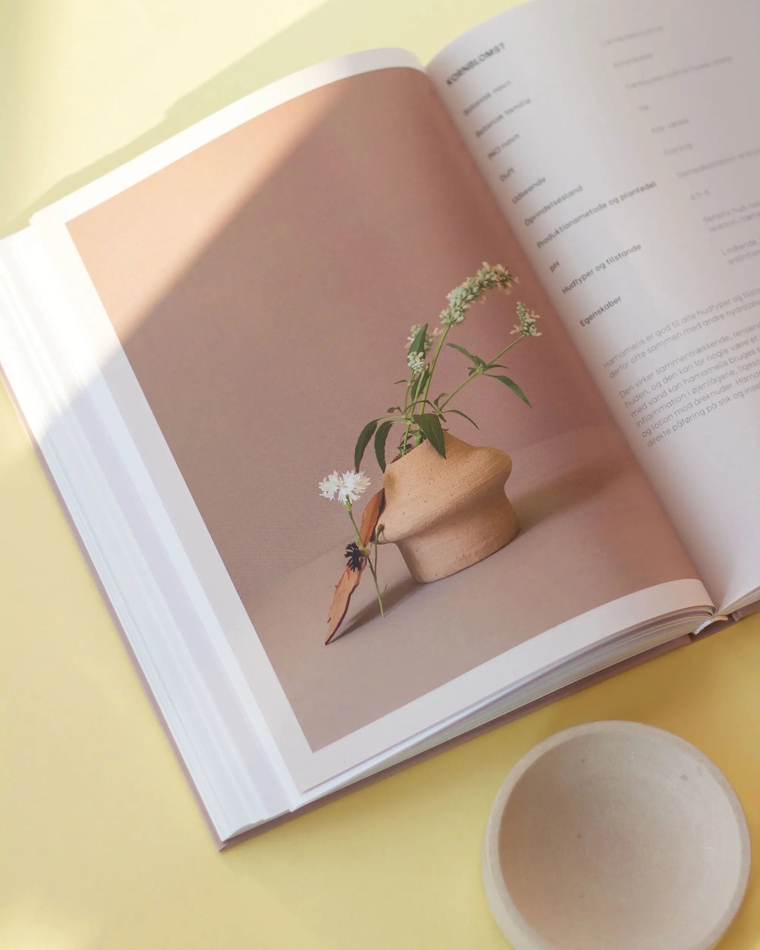 Coffee Bable Books