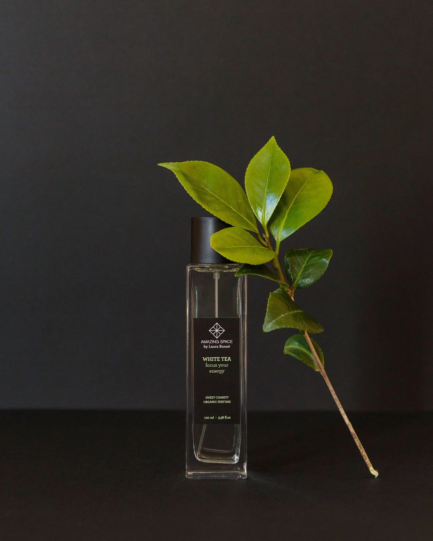 Amazing Space – White Tea Perfume – Focus Your Energy (100ml) - billede 3
